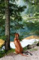 /album/kepgaleria-gamba/a99-jpg/